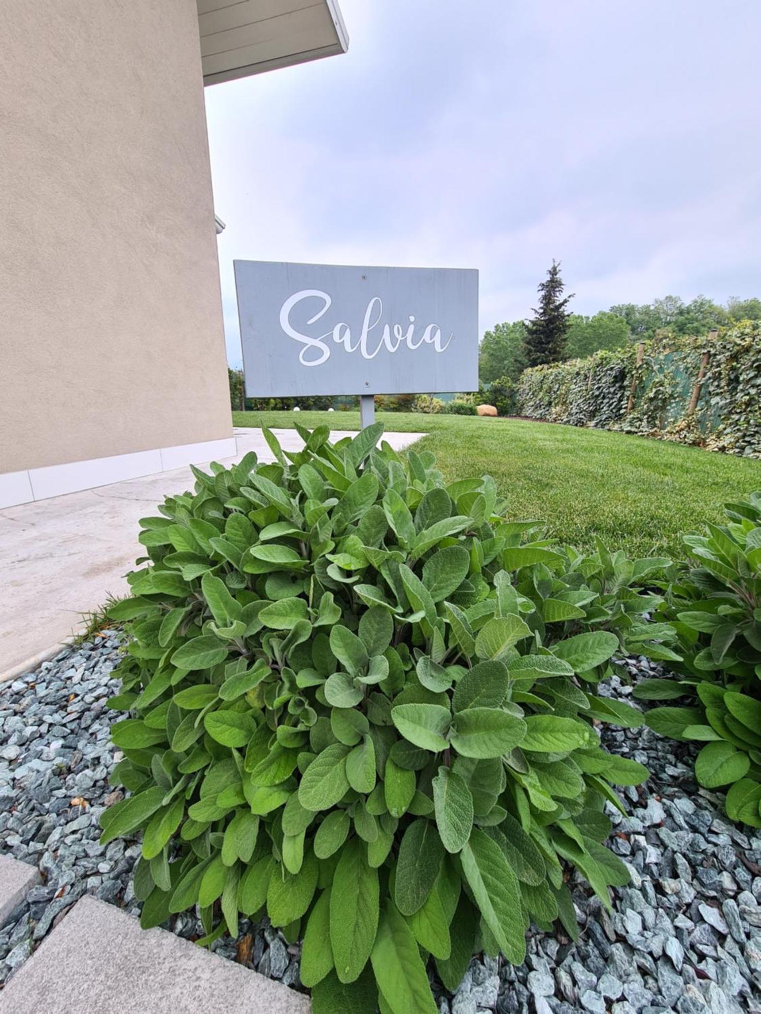 Residence Le Aromatiche Cavaion Veronese Pokoj fotografie